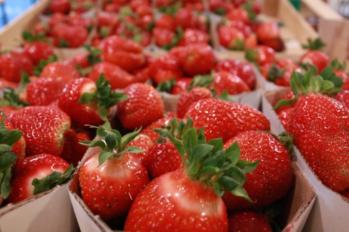 Aromatische Erdbeeren